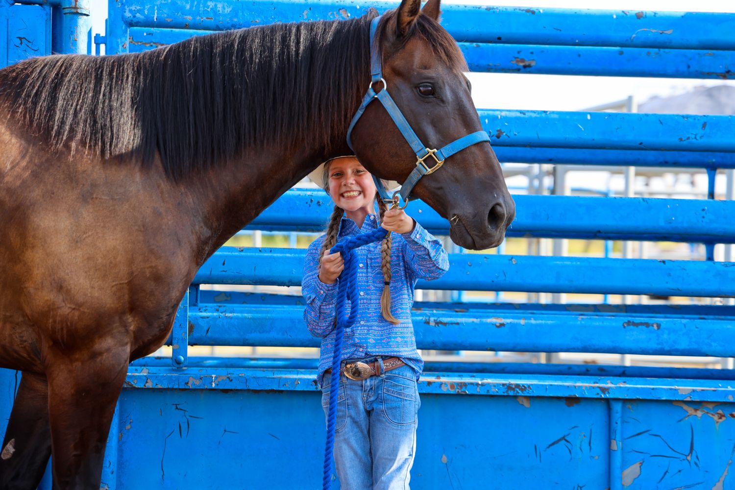 A brown horse stands beside vibrant blue corral fencing while someone in denim gently holds its lead.