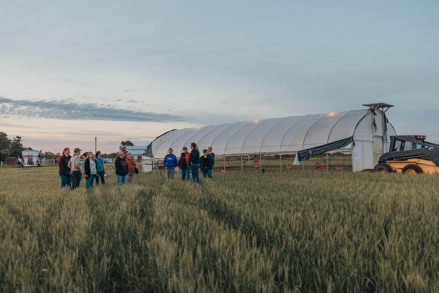 Group standing near greenhouse structure in wheat field during sunset.