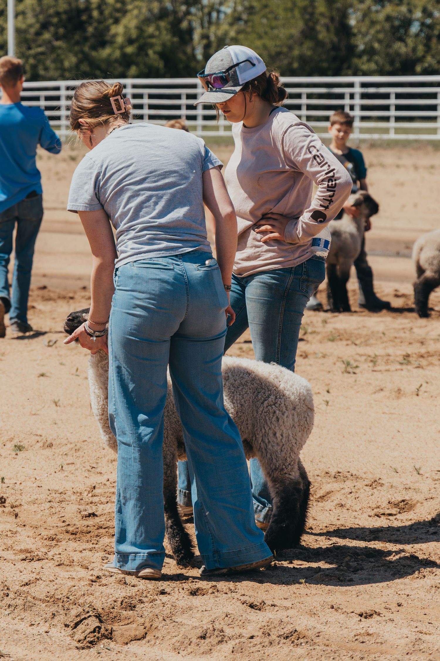 Two people in casual attire tend to a sheep in a dirt arena during training or demonstration.