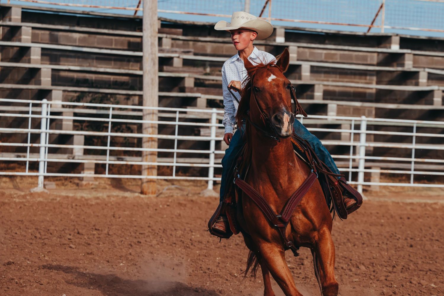 Rodeo rider on brown horse performing in dusty arena with bleachers.
