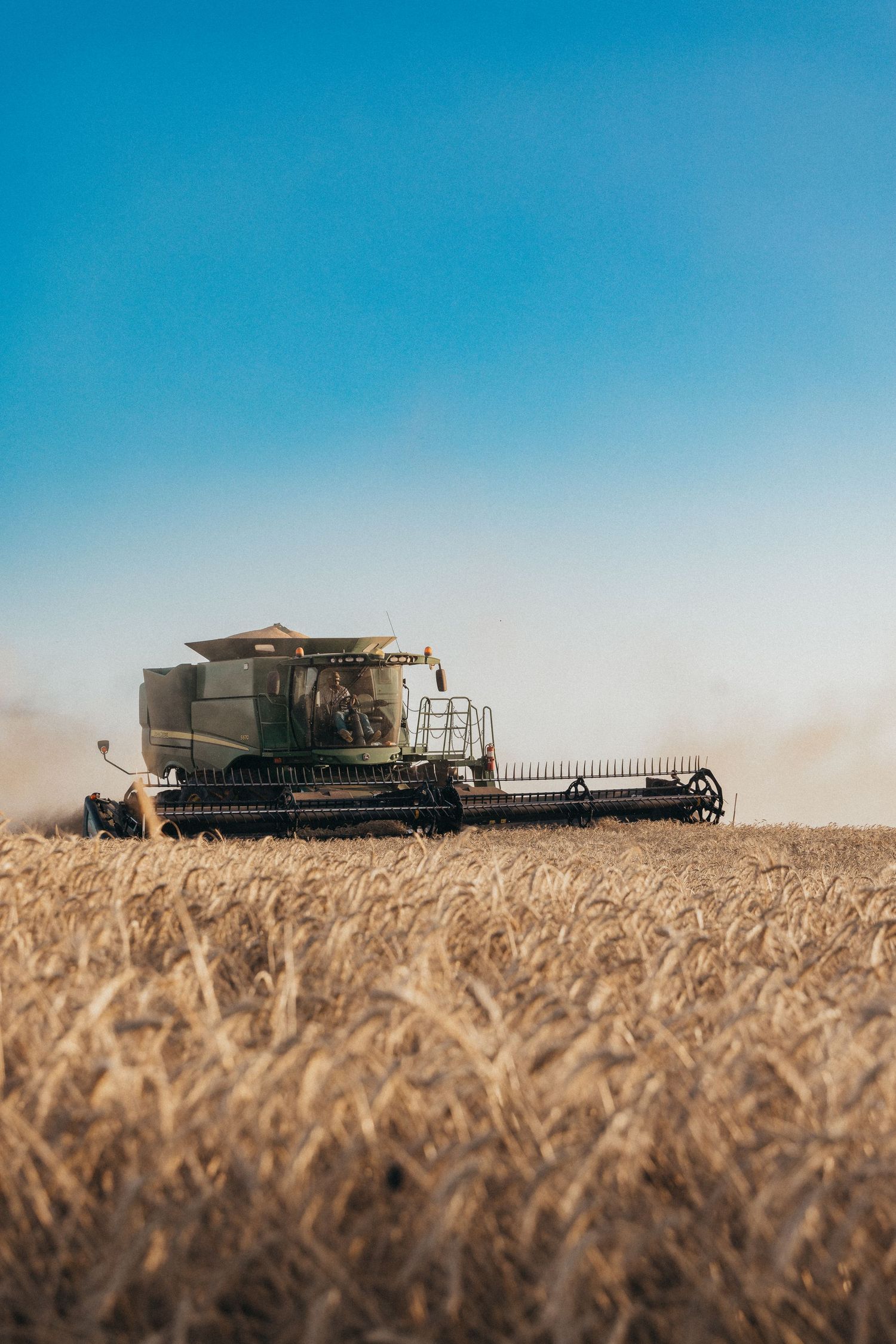 A combine harvester moves through a golden wheat field against a bright blue sky, creating a panoramic harvest scene.