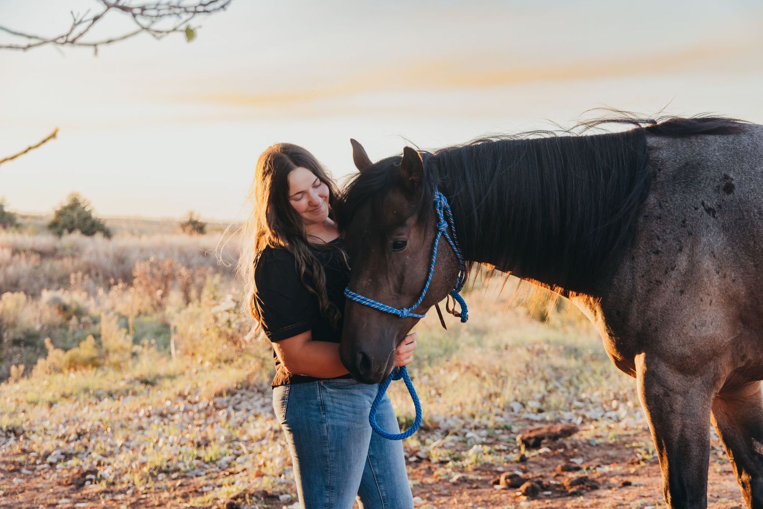 Woman in jeans embracing a dark horse with blue halter in a golden field at sunset.