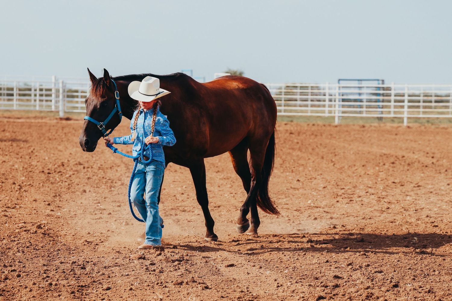 Person in blue denim leading brown horse across arena dirt.