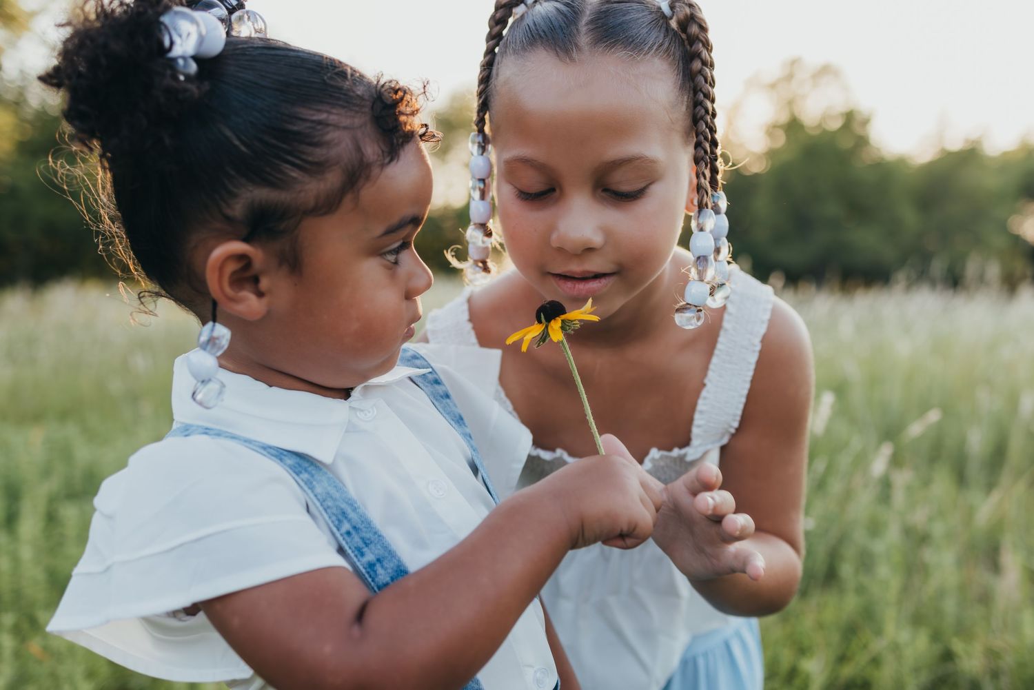 A collage of five photos showing children holding yellow flowers in nature during golden hour lighting.