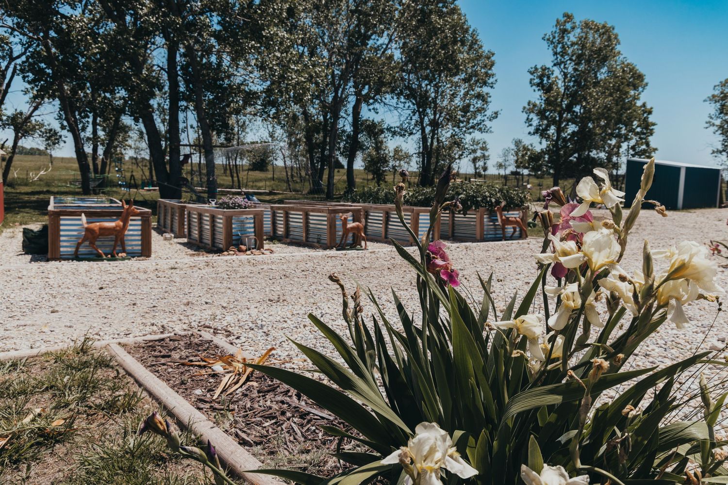 A row of rustic storage units on gravel with flowering plants and trees in the foreground against a blue sky.