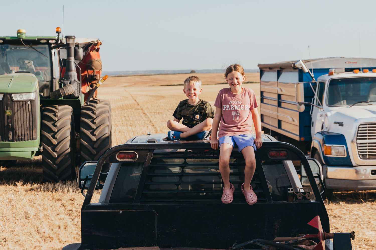 Multiple farming vehicles parked in a field during harvest, with person sitting on back of pickup truck.