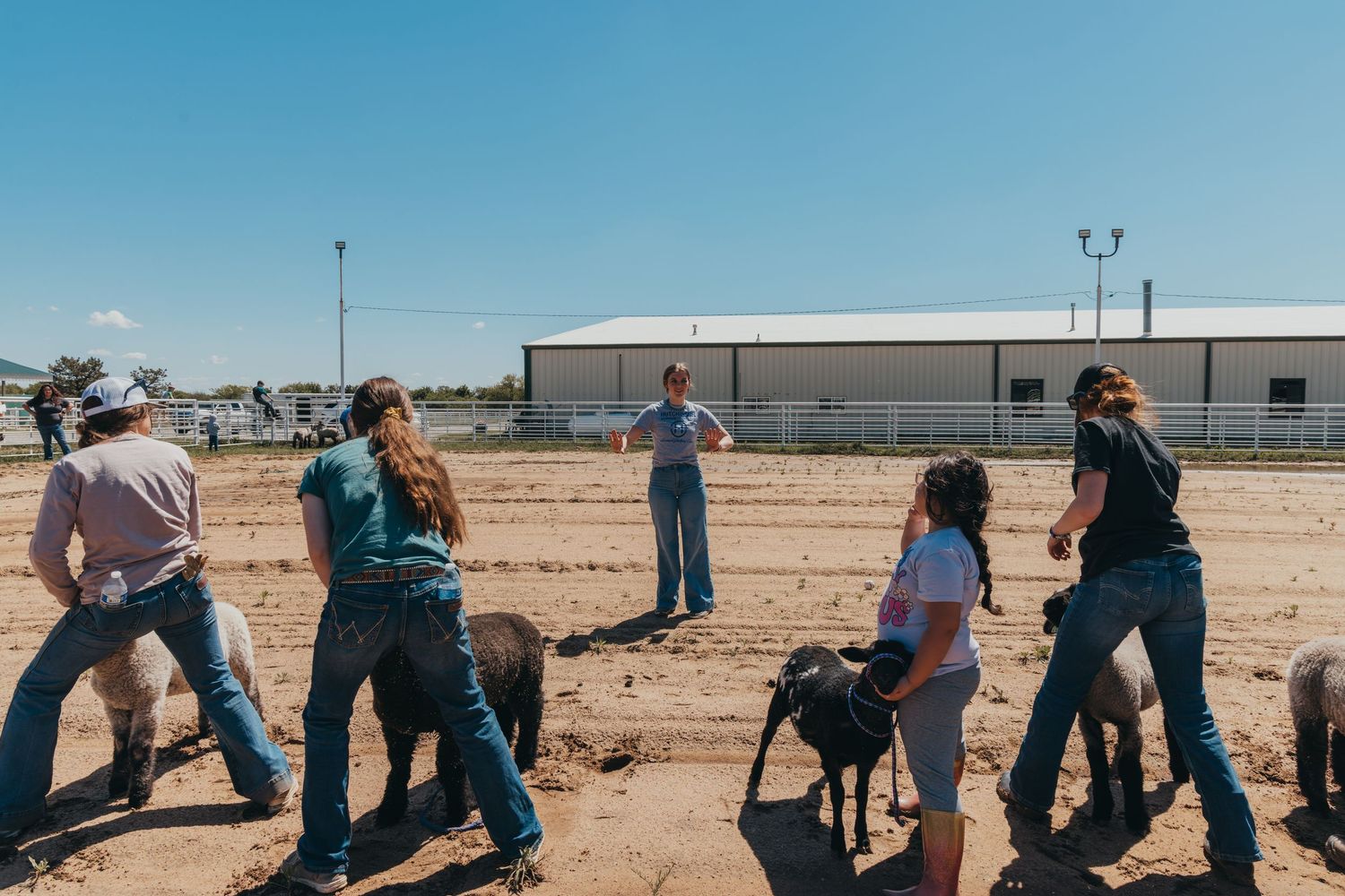 Group of handlers working with sheep in a dirt arena during a training session.
