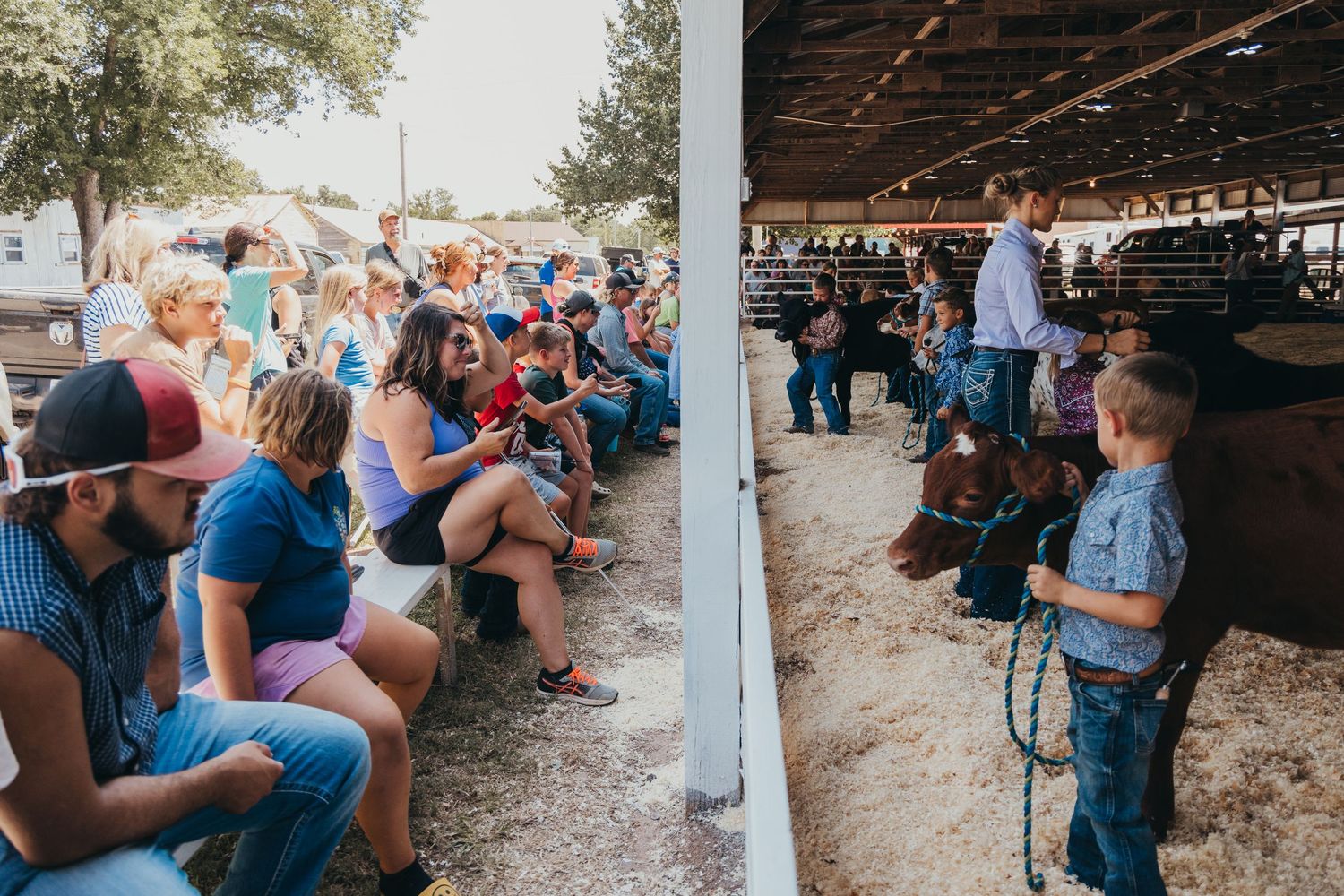 A sequence of candid wedding moments showing guests and celebrations under a rustic covered venue at sunset.