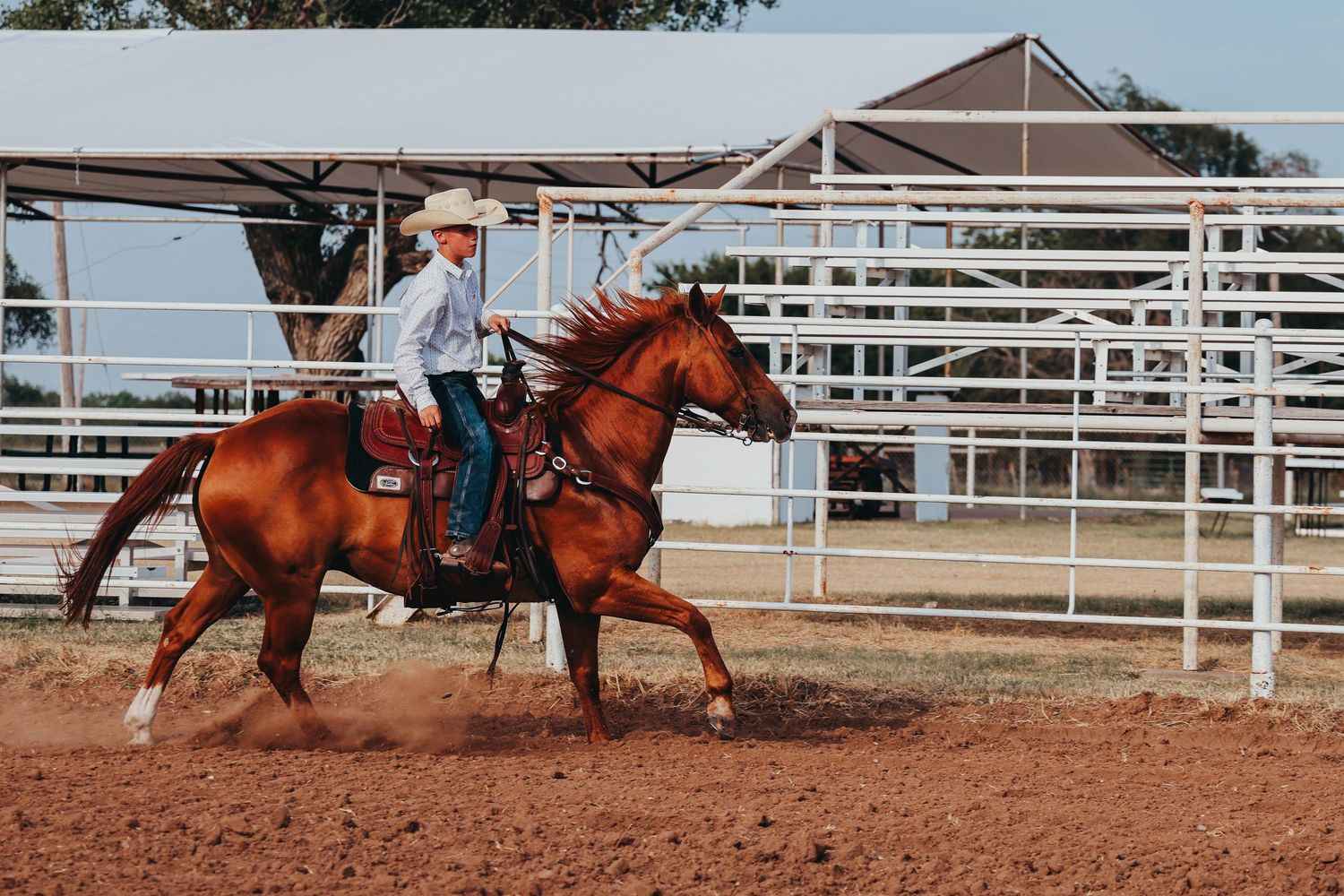 Rider on horseback performing in a western riding arena.