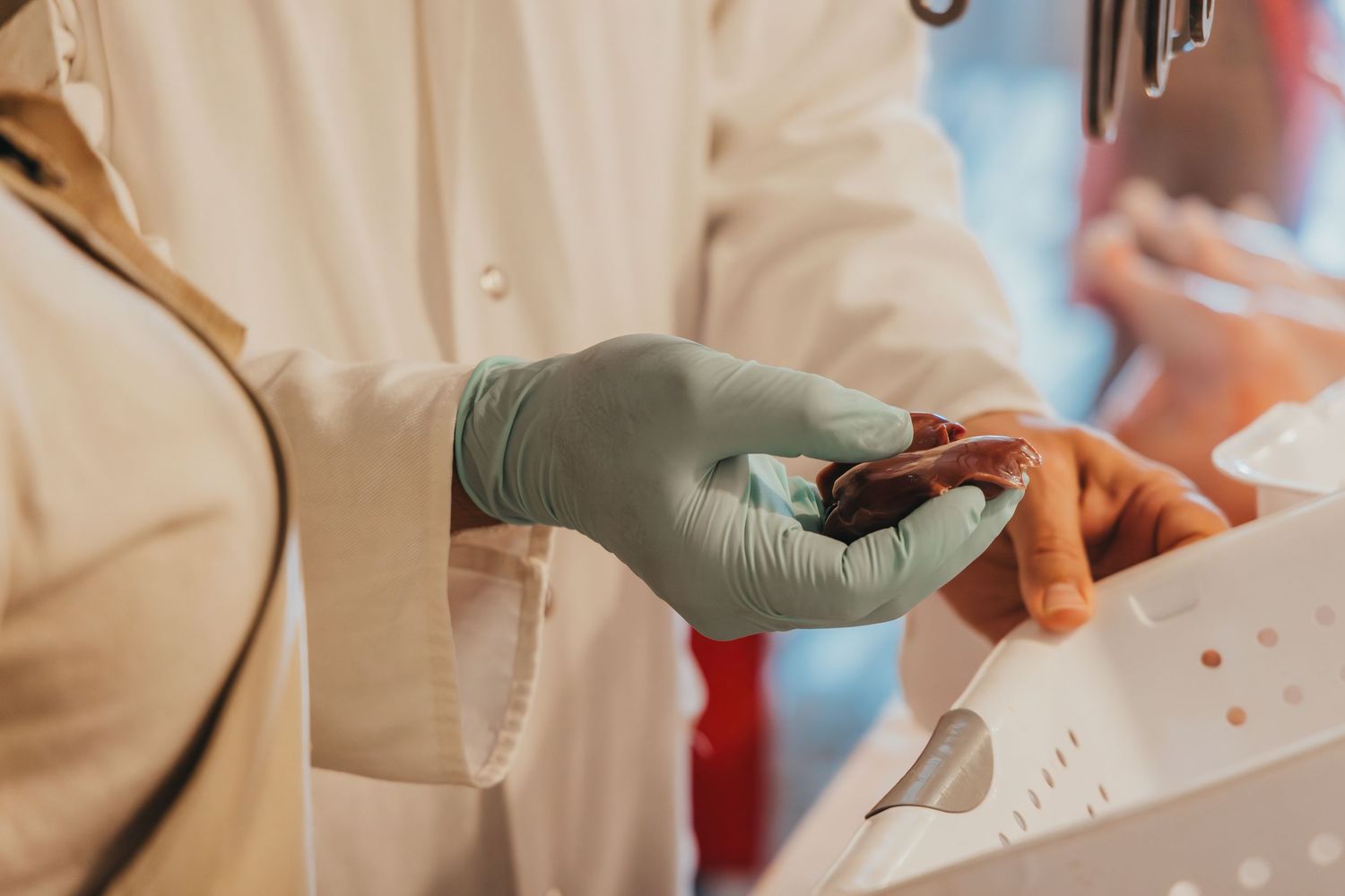 Hands wearing protective gloves handling raw poultry meat.