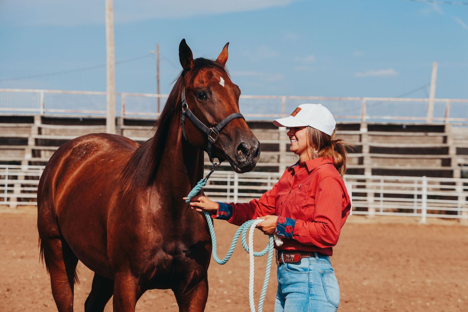 Handler in red jacket working with bay horse in western show arena.