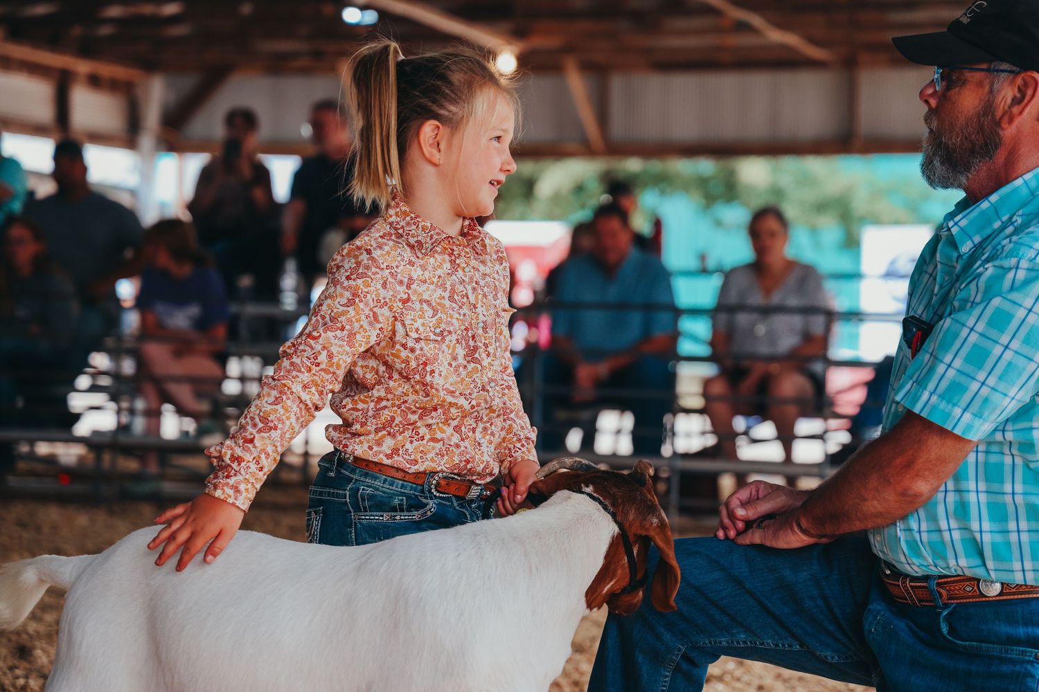 Young person wearing a sparkly top shows their goat at a livestock competition under a covered pavilion.