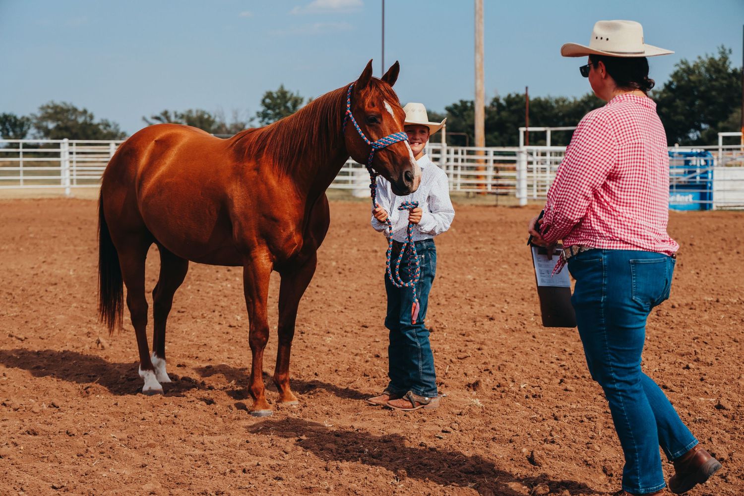 A beautiful bay horse stands in a dusty arena during a western horse show.