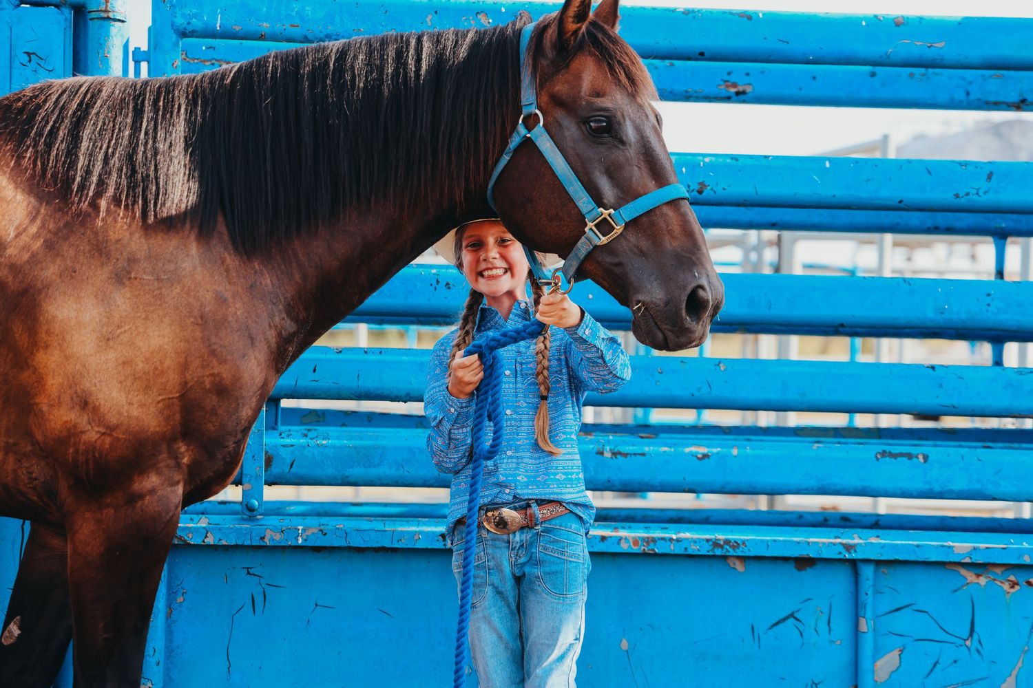 A large brown horse stands next to a bright blue wooden fence while someone in denim holds its reins.