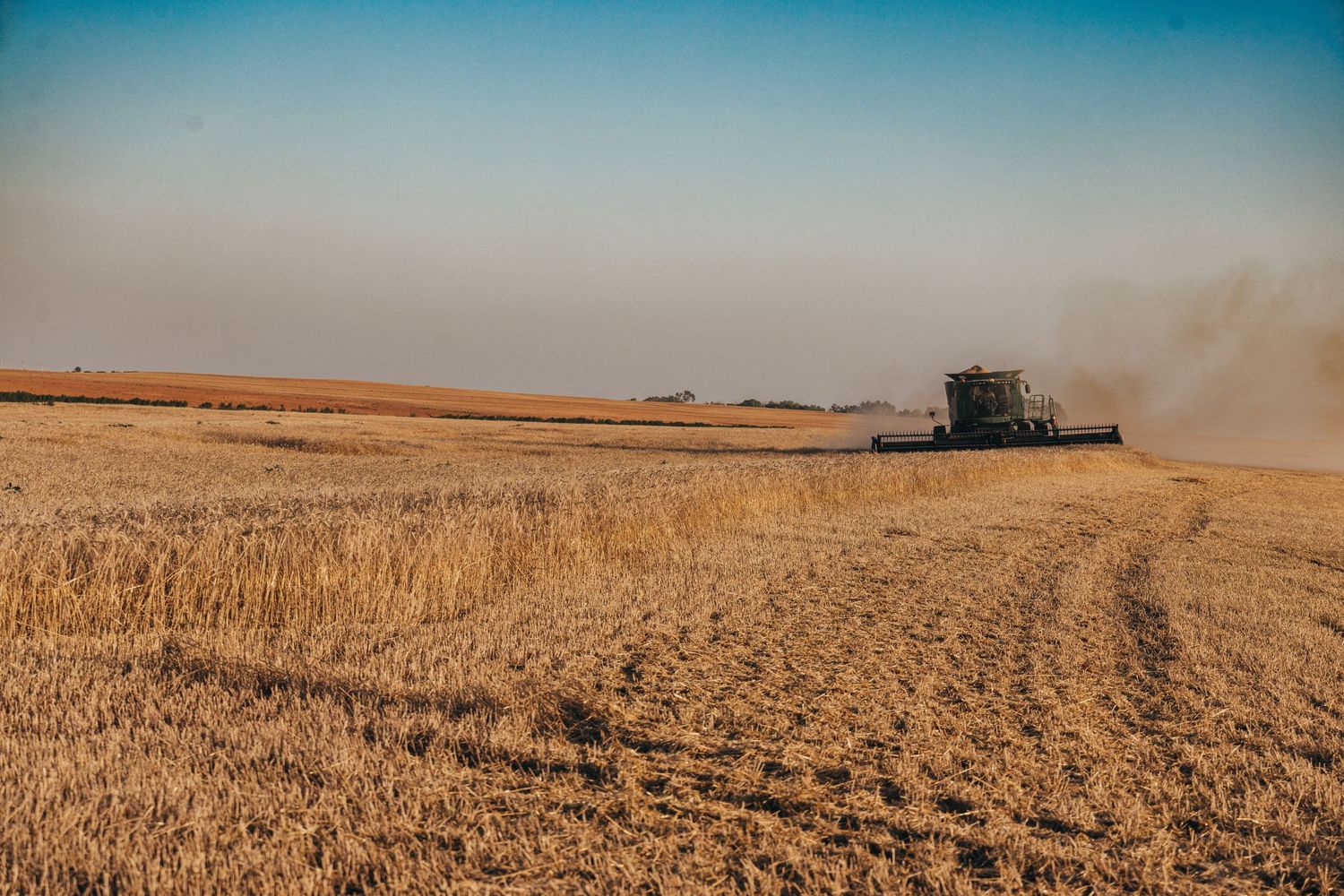 A combine harvester working in a vast golden wheat field during sunset creates a dramatic agricultural landscape.