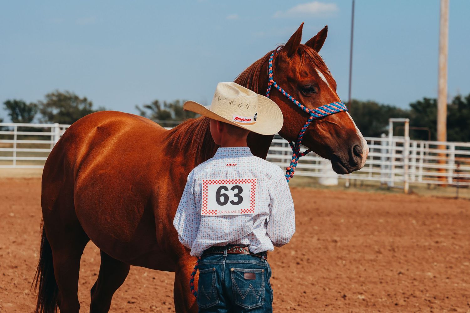 A competitor showing a bay horse in a western arena wearing number 63.