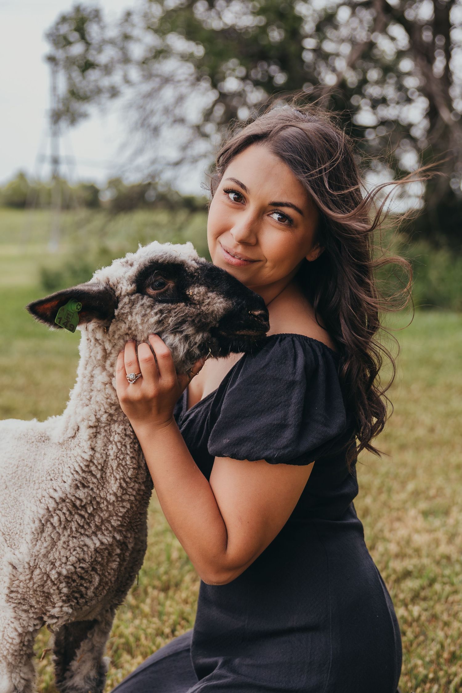 A person in a black shirt embraces and snuggles with a fluffy gray sheep in an outdoor field setting.