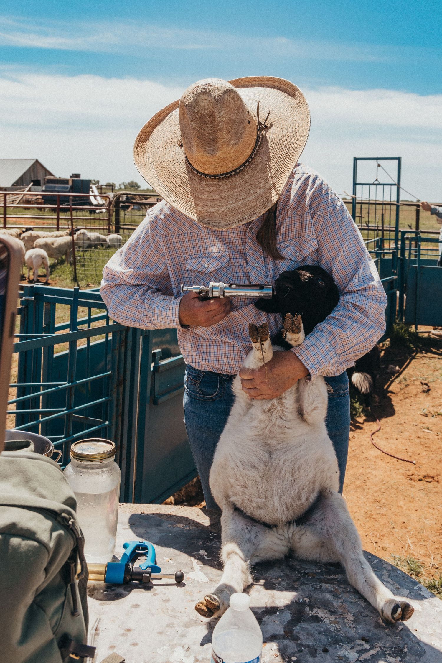 Rancher in cowboy hat handling small lamb in livestock pen.