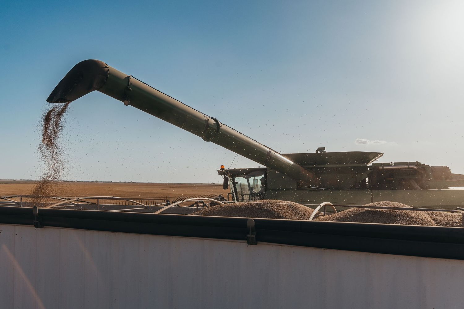 Grain being transferred from combine harvester into truck during agricultural harvest operation at sunset.