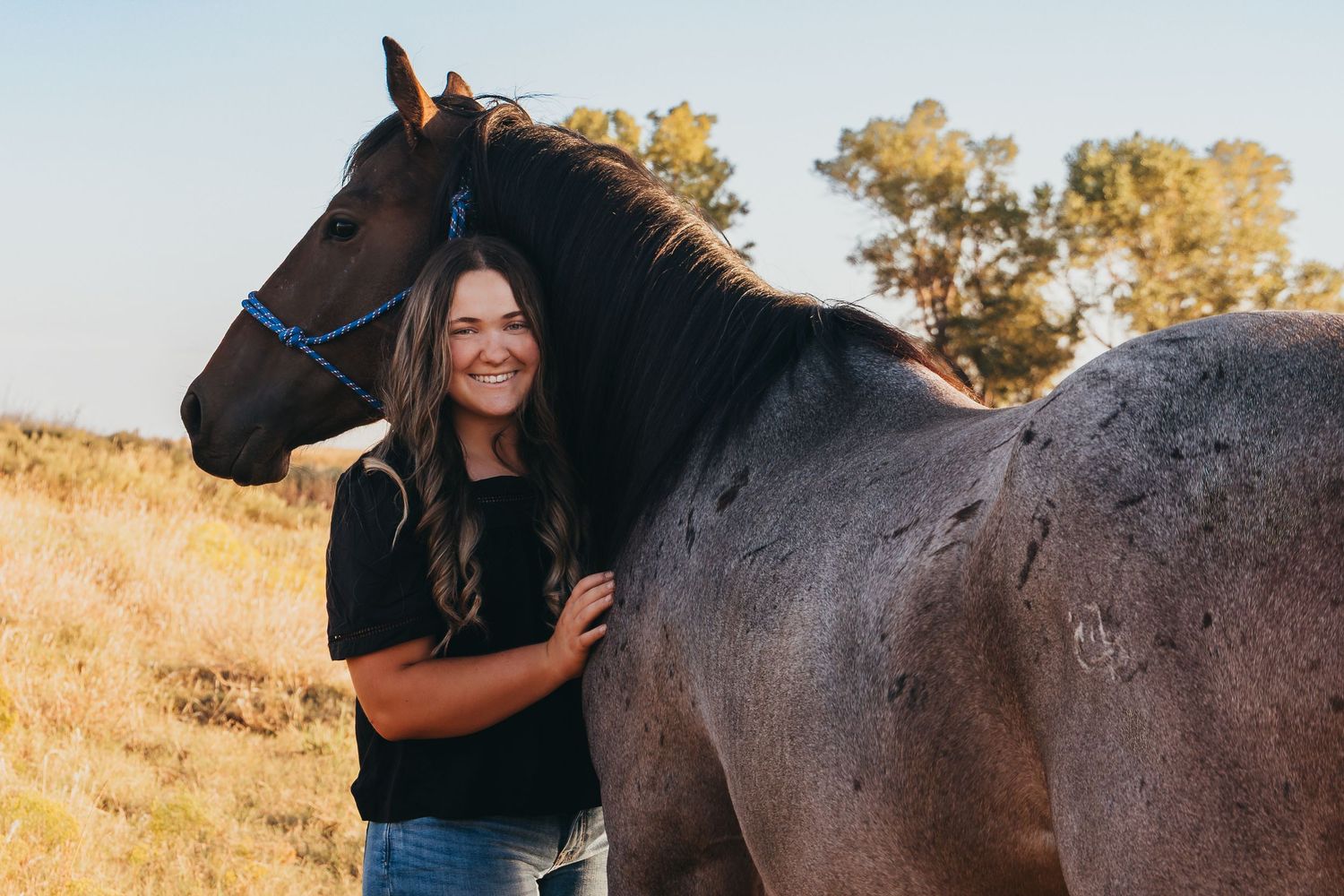 A person in a black top interacts affectionately with a dark horse in a golden sunlit field at sunset.