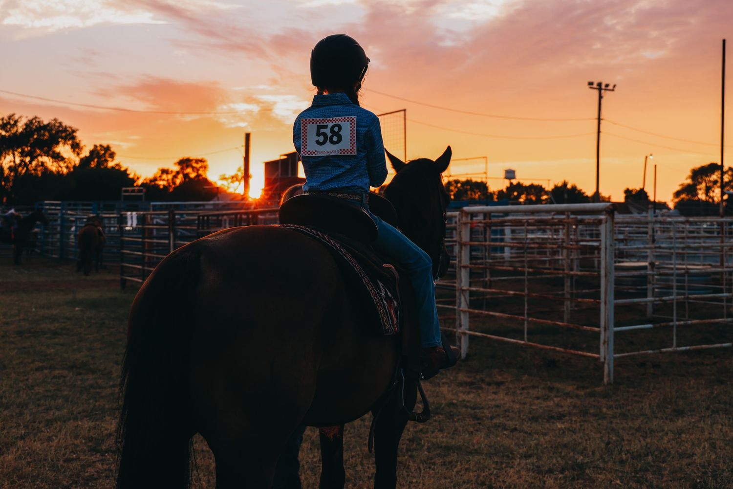Silhouetted rider on horseback at sunset against a metal corral fence during a rodeo event.