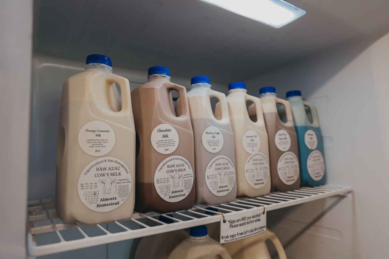 Plastic milk jugs with blue caps lined up on a refrigerator shelf with circular labels visible on containers.