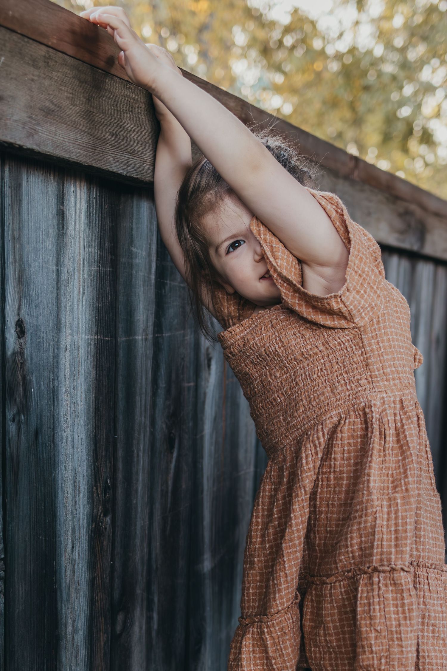 Young girl in brown smocked dress reaching up to touch wooden fence outdoors.