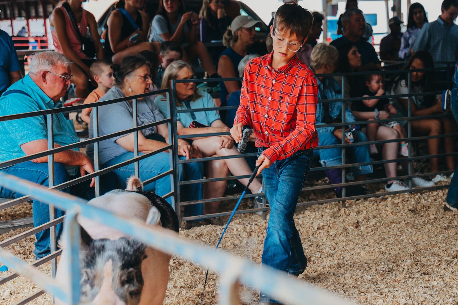 Youth practices showing animal in dirt arena while judges observe from bleachers.