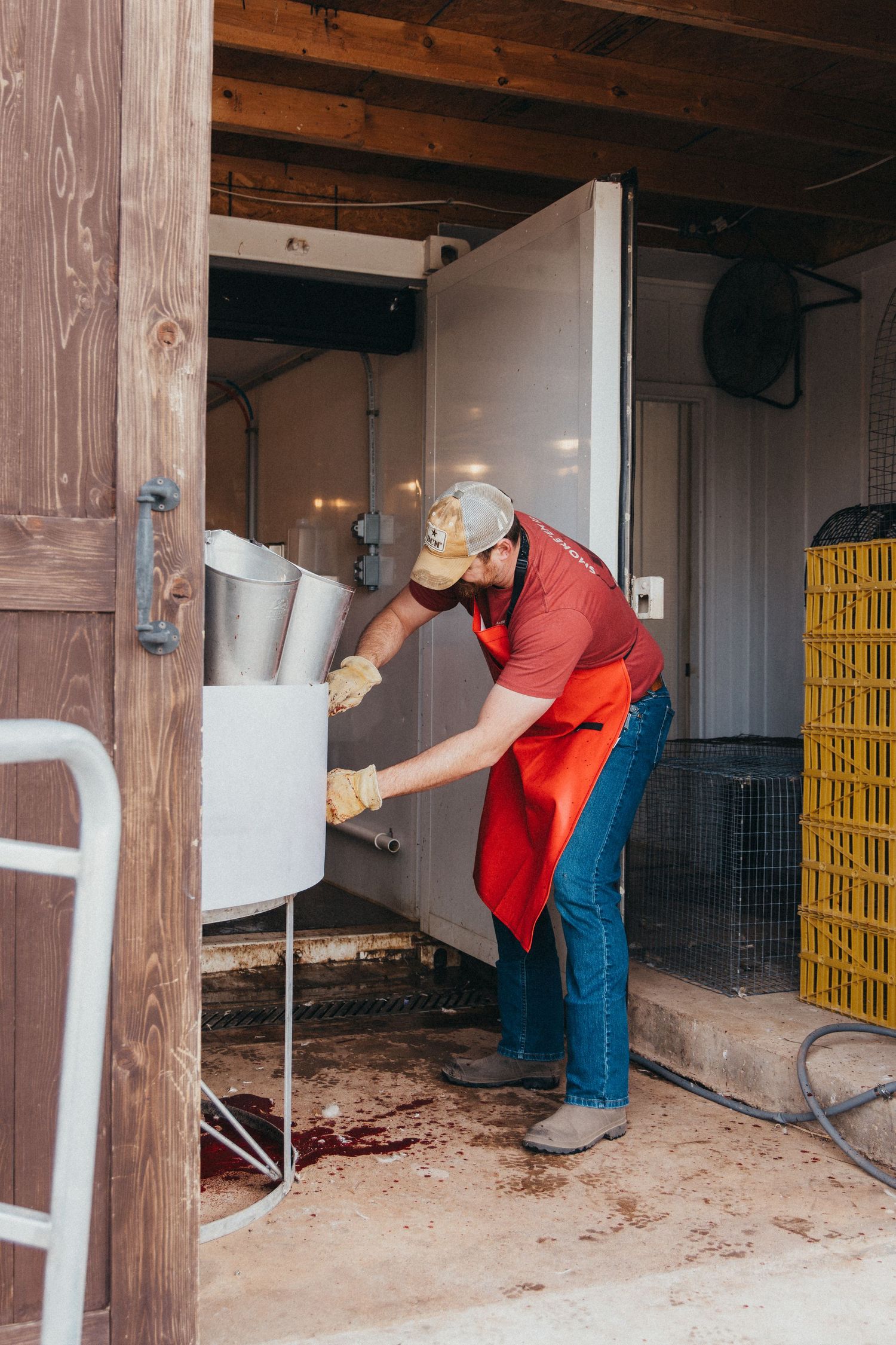 Worker in red apron filling feeder equipment in barn storage area.