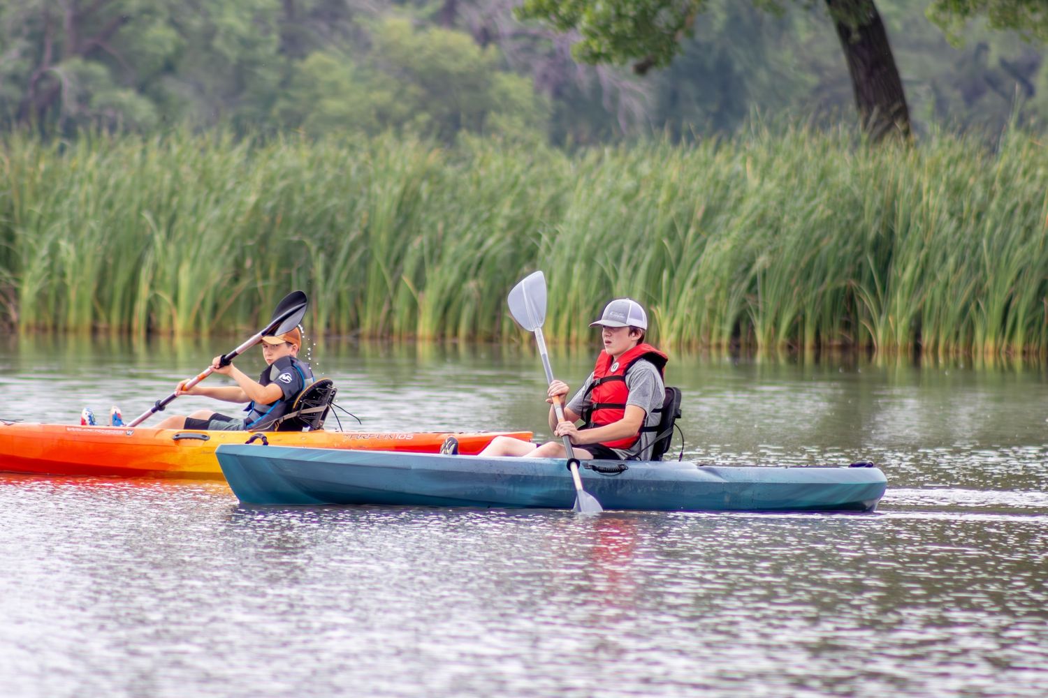 Two kayakers rowing through marsh reeds on a peaceful lake.