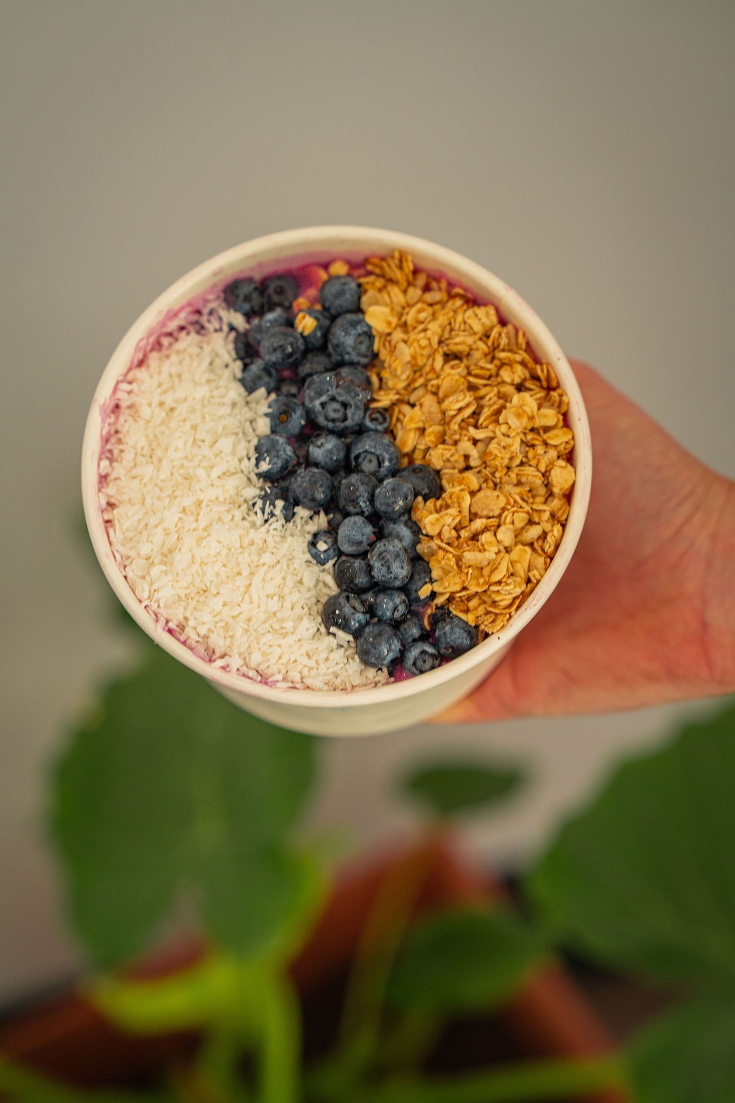 A bowl of breakfast ingredients including fresh blueberries, cornflakes, and white rice puffs arranged in neat sections.