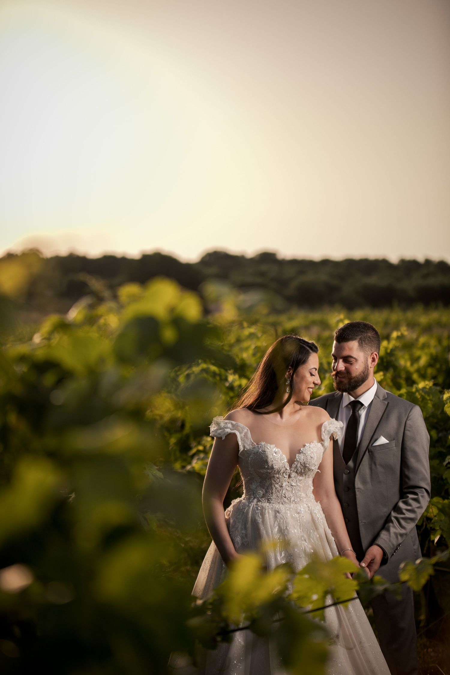 Romantic sunset photoshoot in a vineyard with soft golden light filtering through the vines.