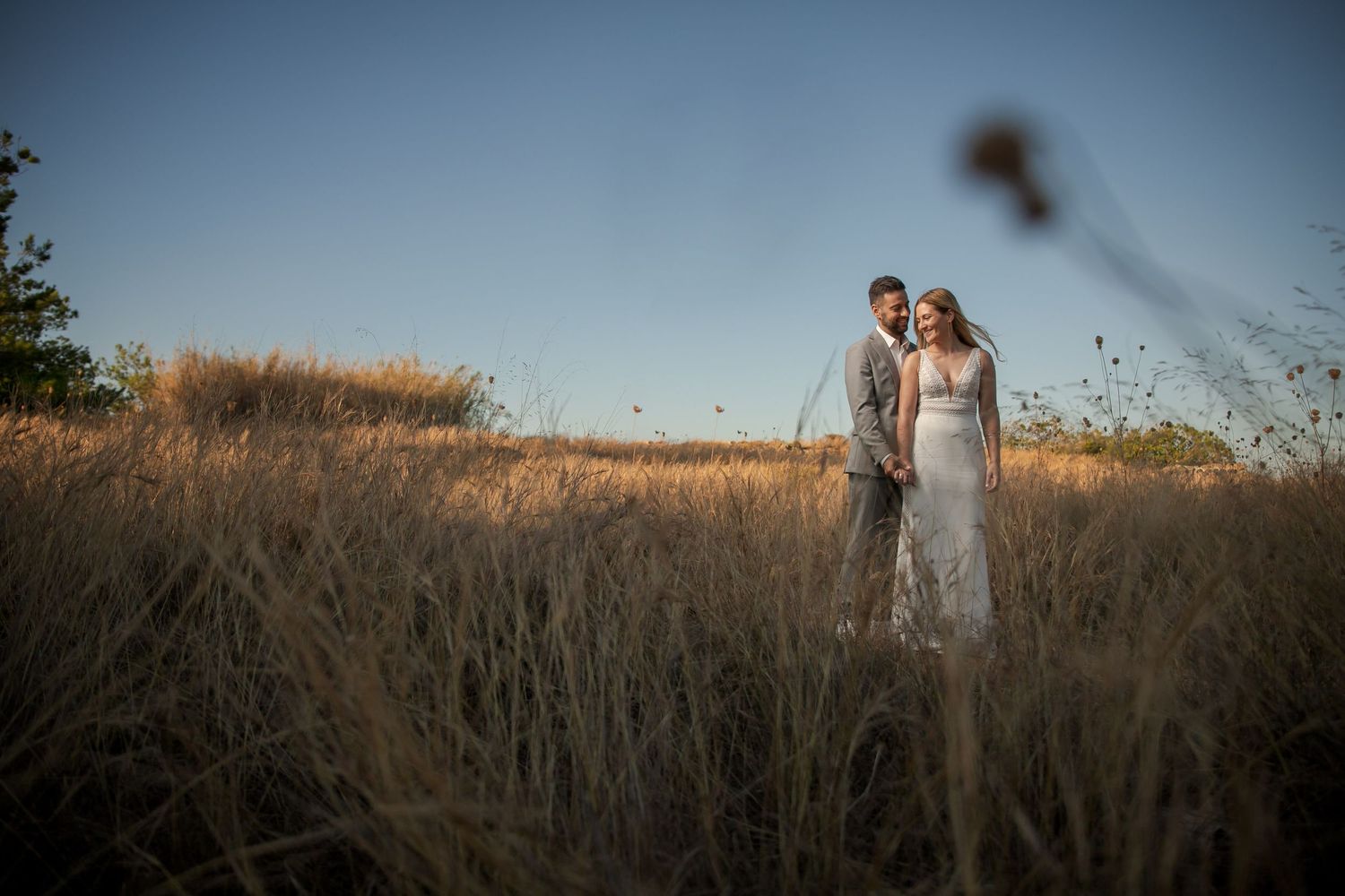 Wedding couple silhouetted against golden hour light in tall grass field.