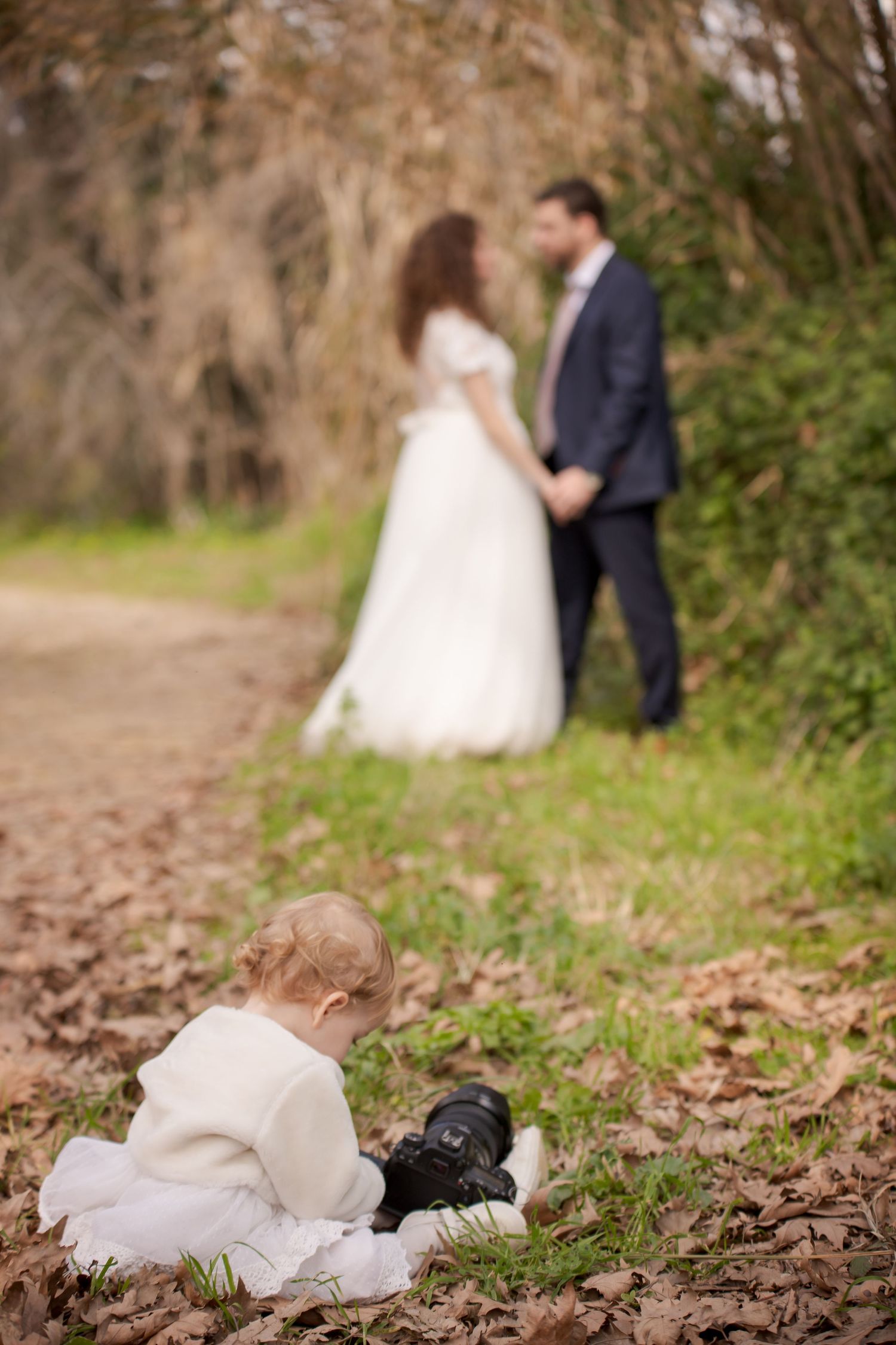 Wedding couple walks path through fallen autumn leaves with playful dogs in foreground.