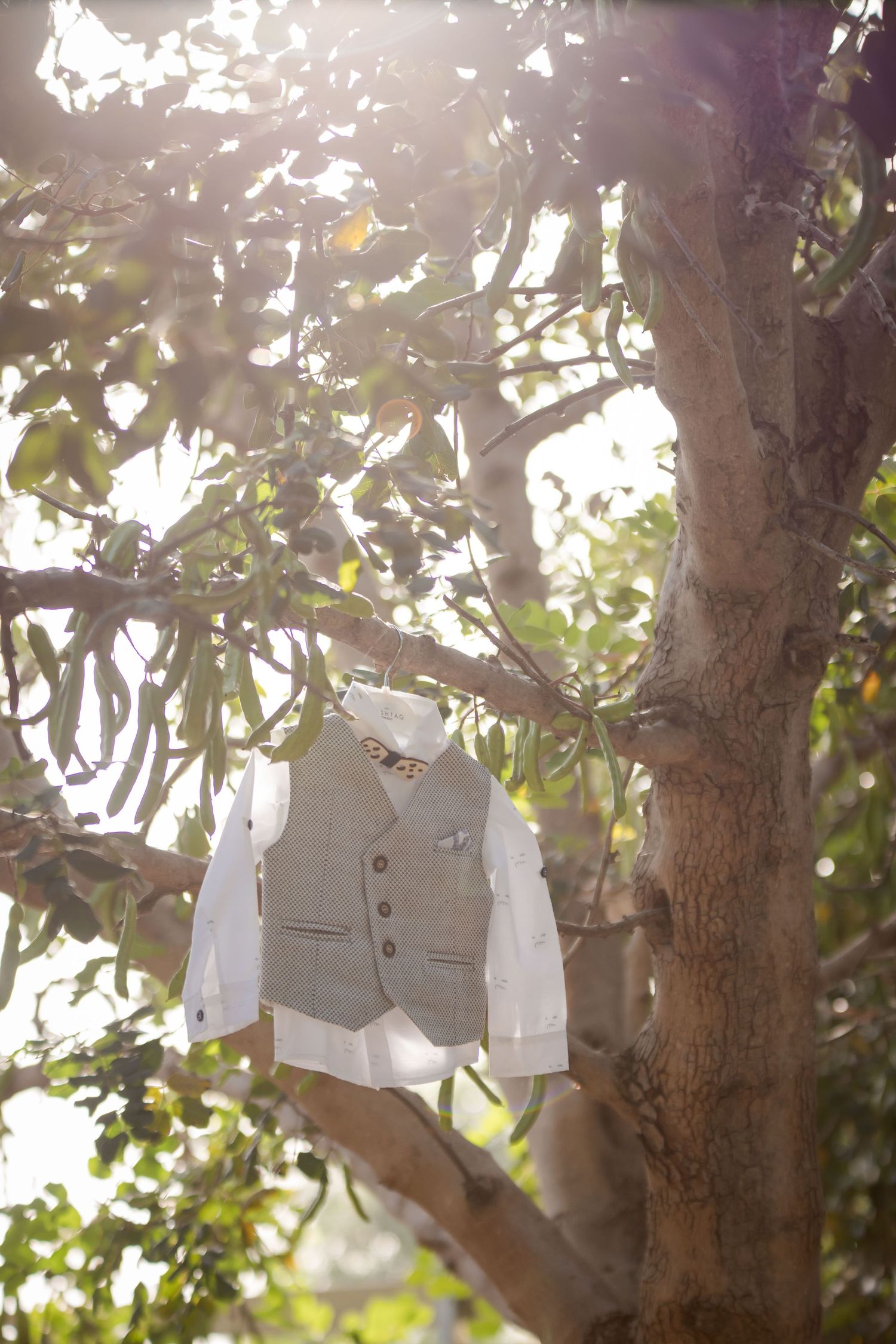 White formal clothing hanging from tree branches in dappled sunlight.