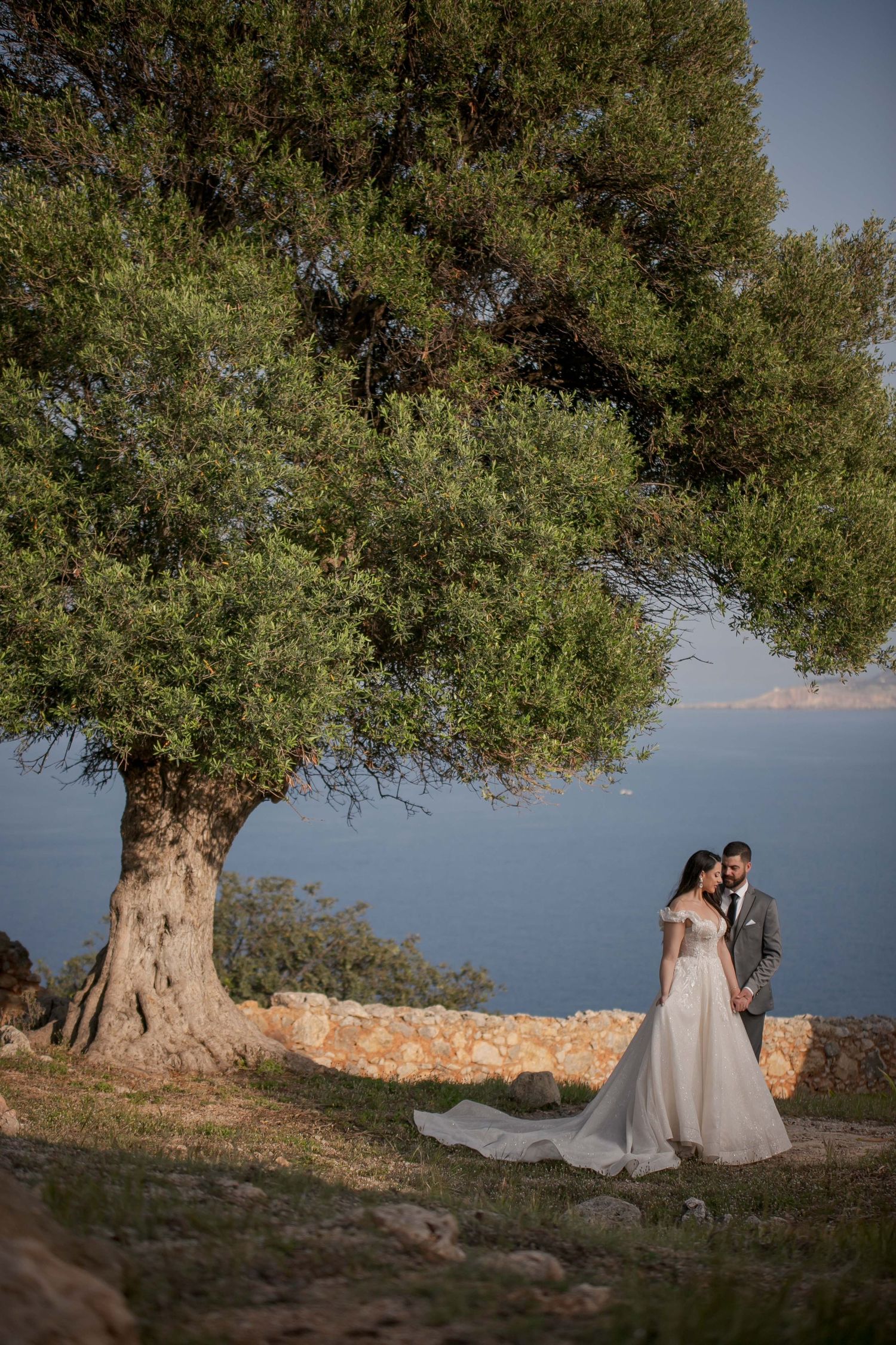 Mediterranean wedding photos with ancient olive trees and sea views in background.