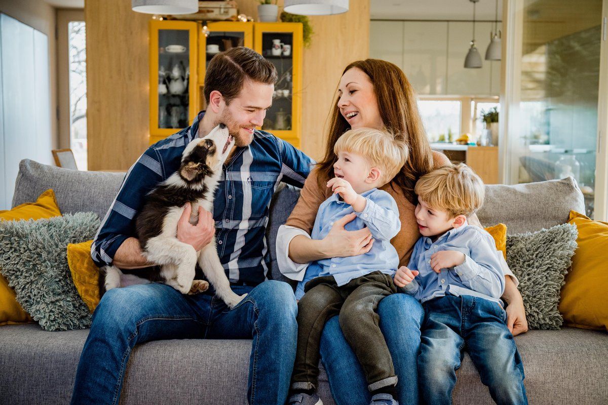 Happy family with two young boys and a puppy sitting together on a gray couch in a cozy modern living room.