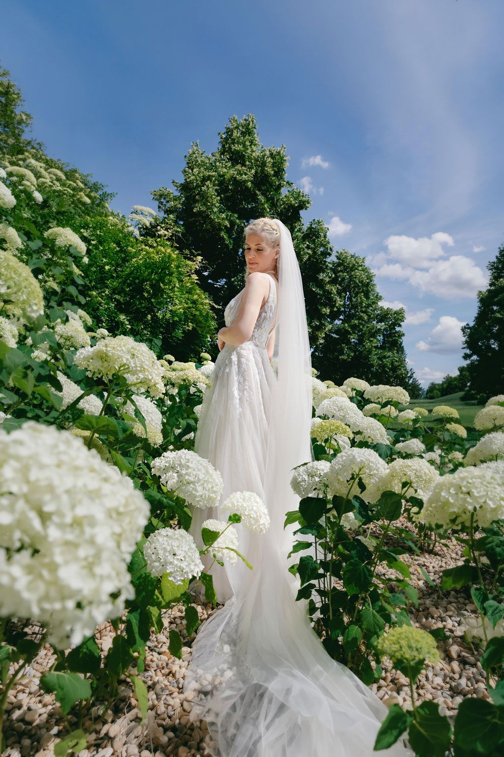 Bride in white lace gown and veil standing among blooming white hydrangeas in a lush green garden.