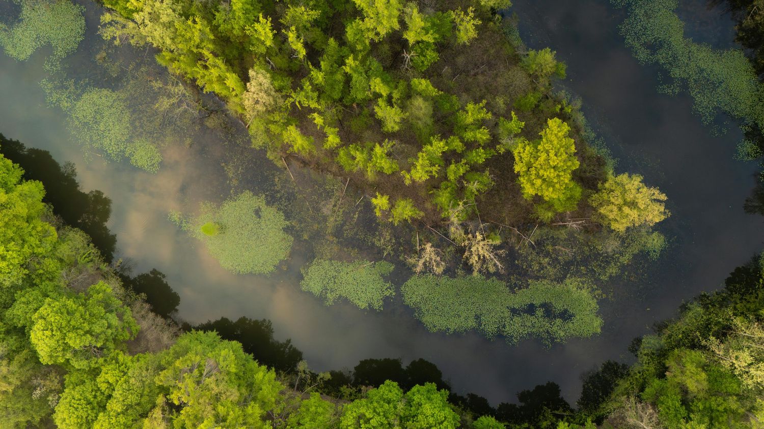 Aerial drone services Nairobi