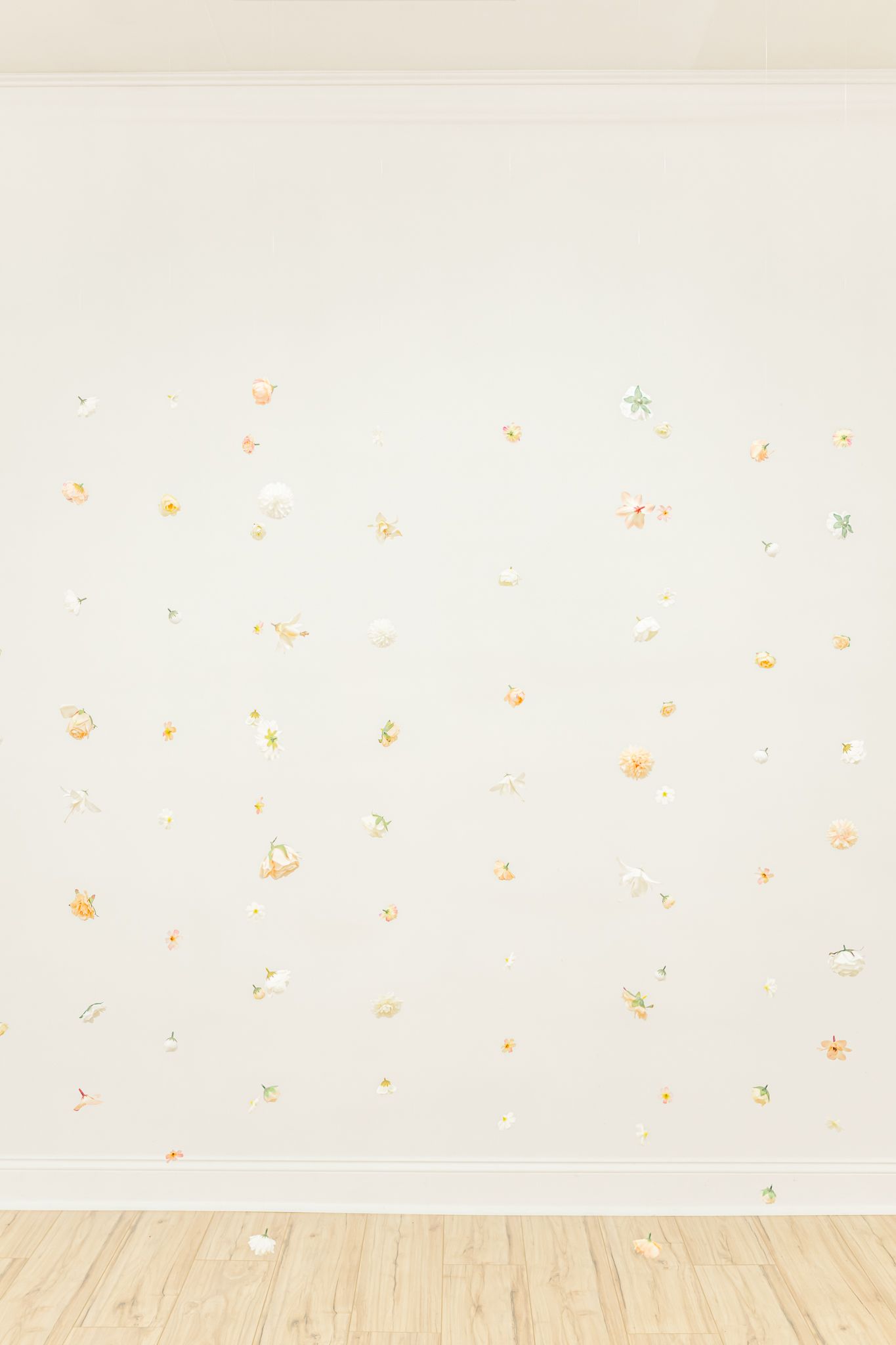 Minimalist room interior with light wood flooring and small colorful confetti scattered on white wall.