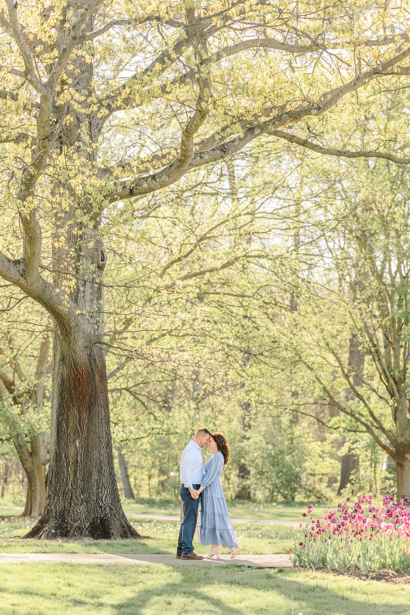 Couple sharing a romantic moment under a large tree in a lush green park with pink tulips in spring.