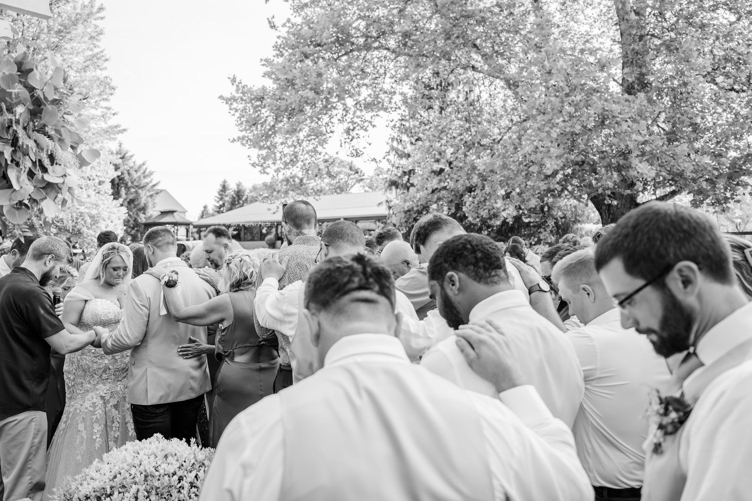 A crowd of people gathered outdoors in a park setting taking photos and looking up at something in the trees.