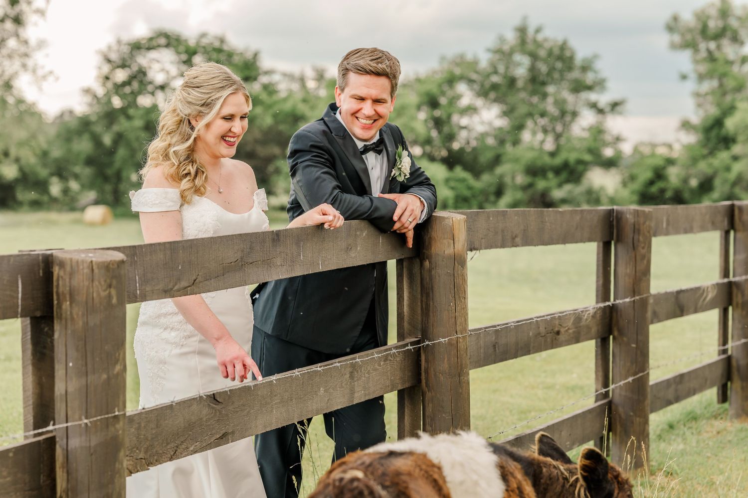 A couple in formal attire leans against a rustic wooden fence in a pastoral outdoor setting.The Old Barns at Dry Run Farms in Williamsport.