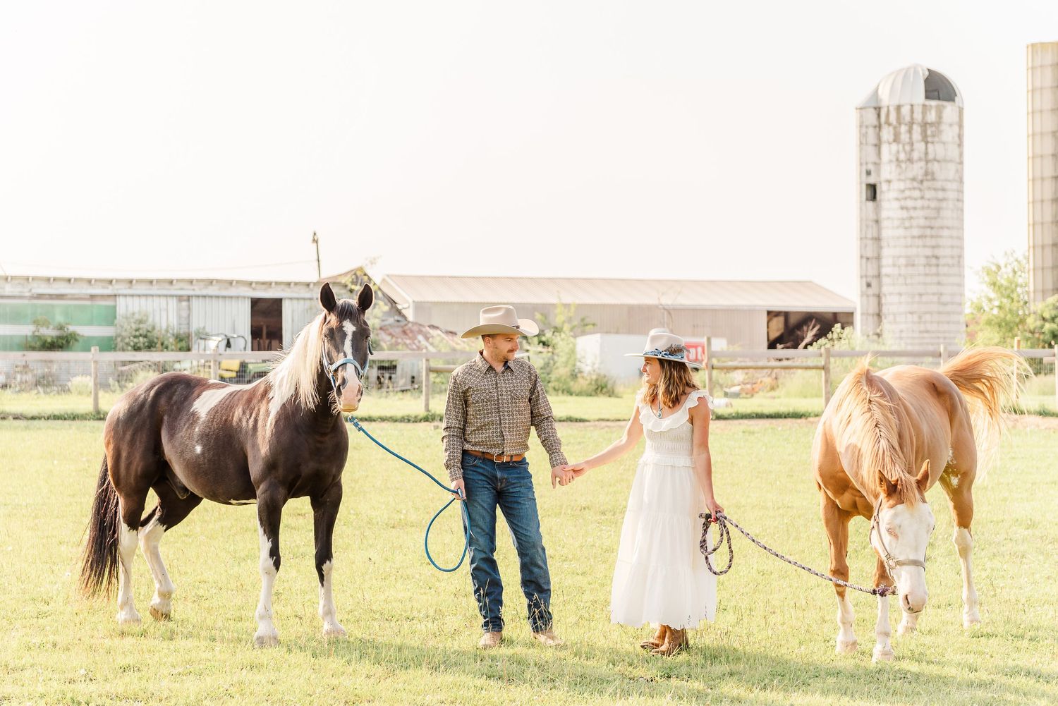 A series of photos showing a person training and working with horses in an outdoor paddock area.