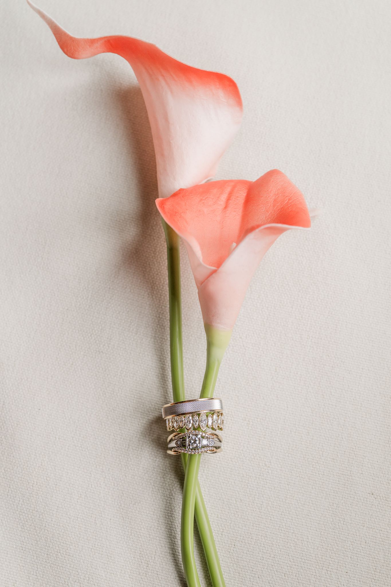 Two coral calla lilies with wedding rings wrapped around their stems on a neutral background. The Old Barns at Dry Run Farms in Williamsport