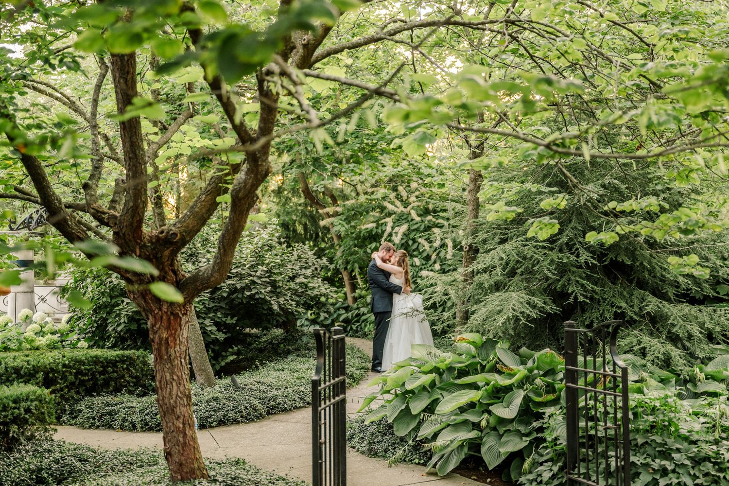 Lush garden pathway with stone steps and vibrant green foliage creating a serene outdoor setting.