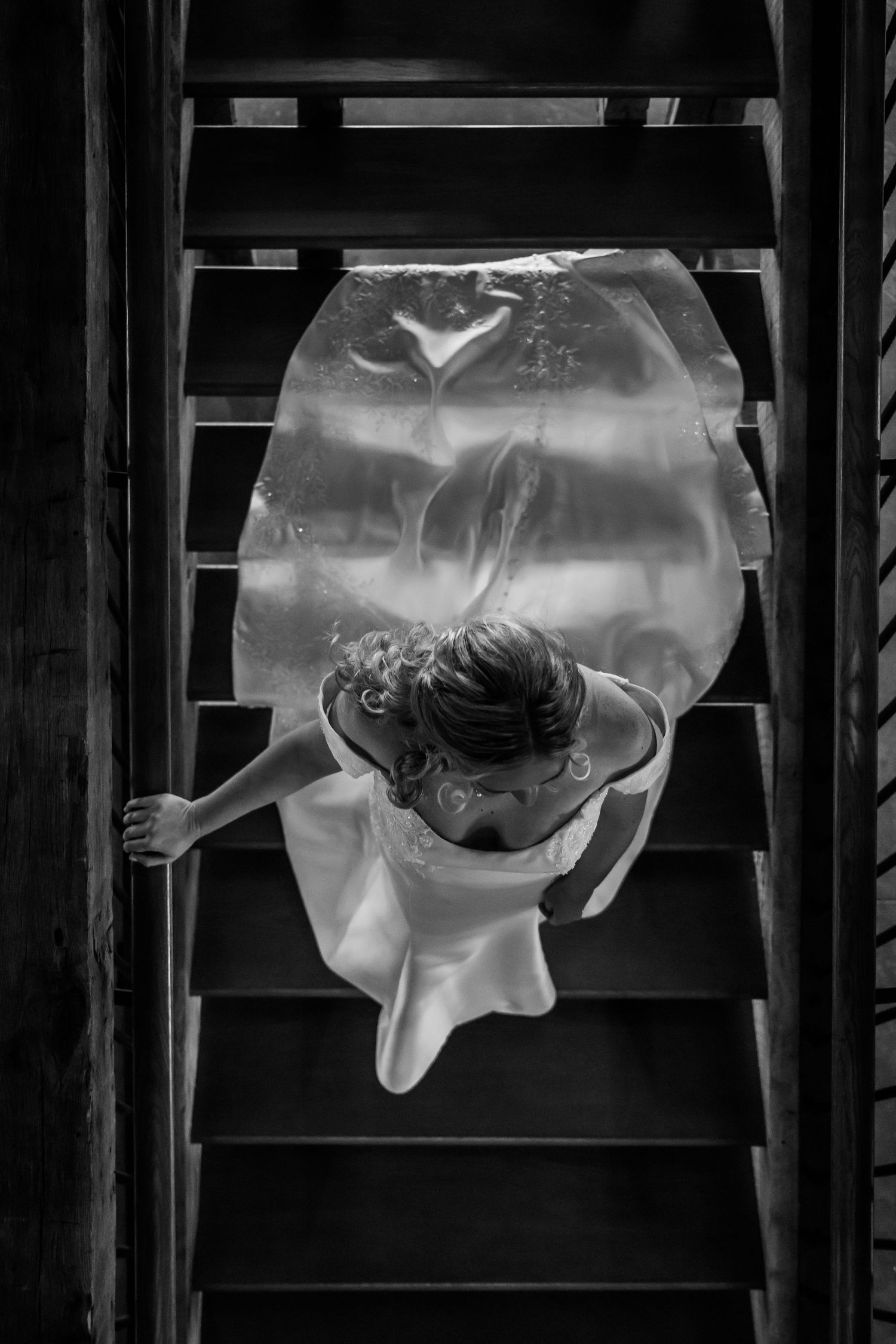 A black and white photo showing a a bride walking down the steps. The Old Barns at Dry Run Farms in Williamsport, OH.