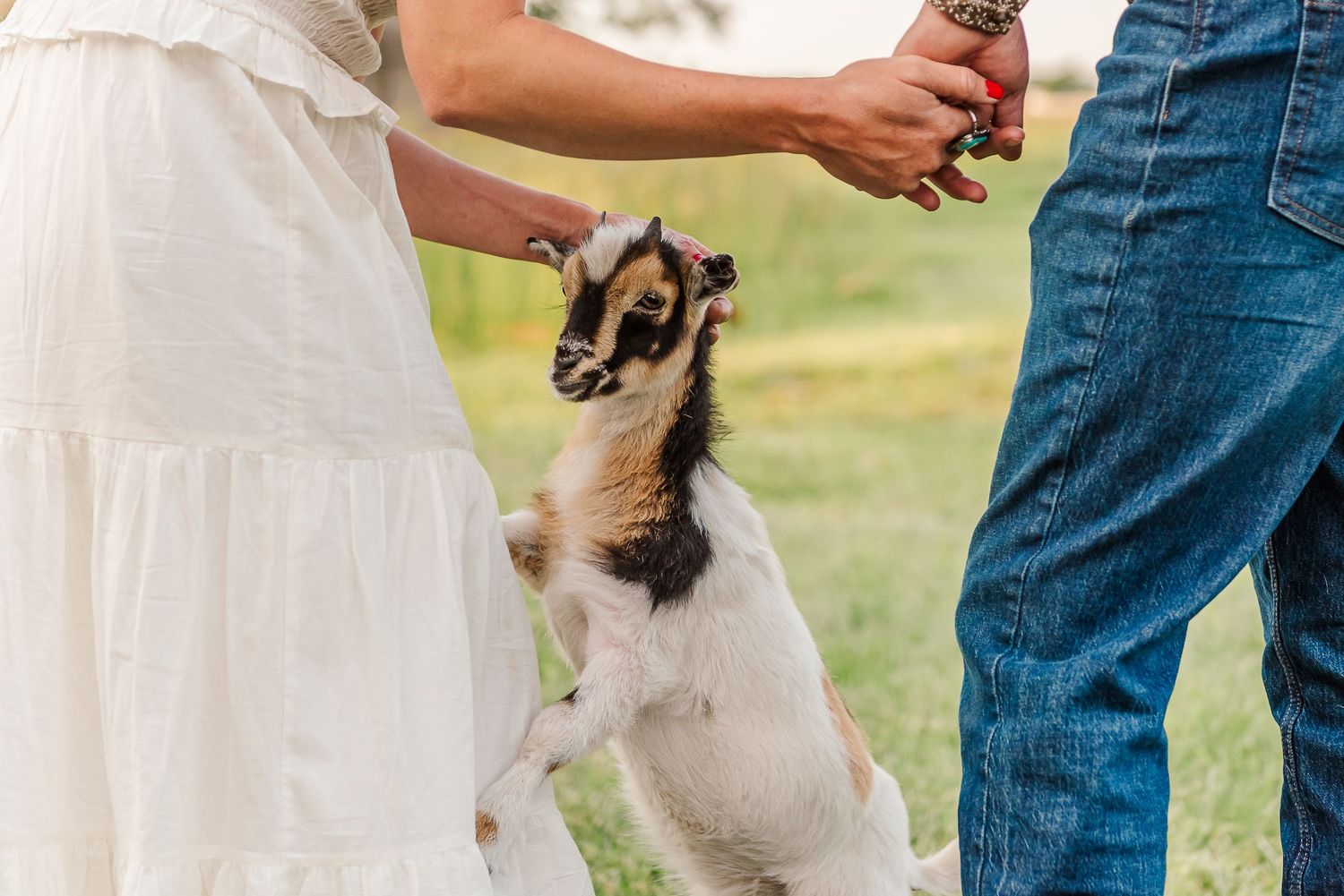 A couple holds their small goat while standing in a grassy field during a wedding ceremony.