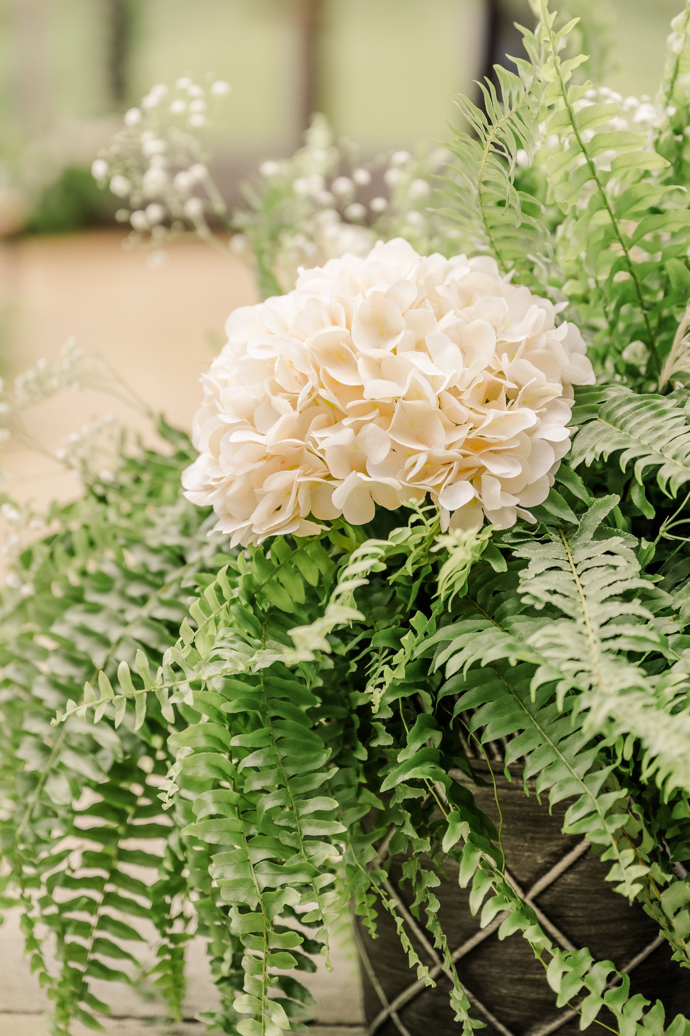 White hydrangea bloom surrounded by green ferns in a rustic wooden basket centerpiece.The Old Barns at Dry Run Farms in Williamsport, Oh