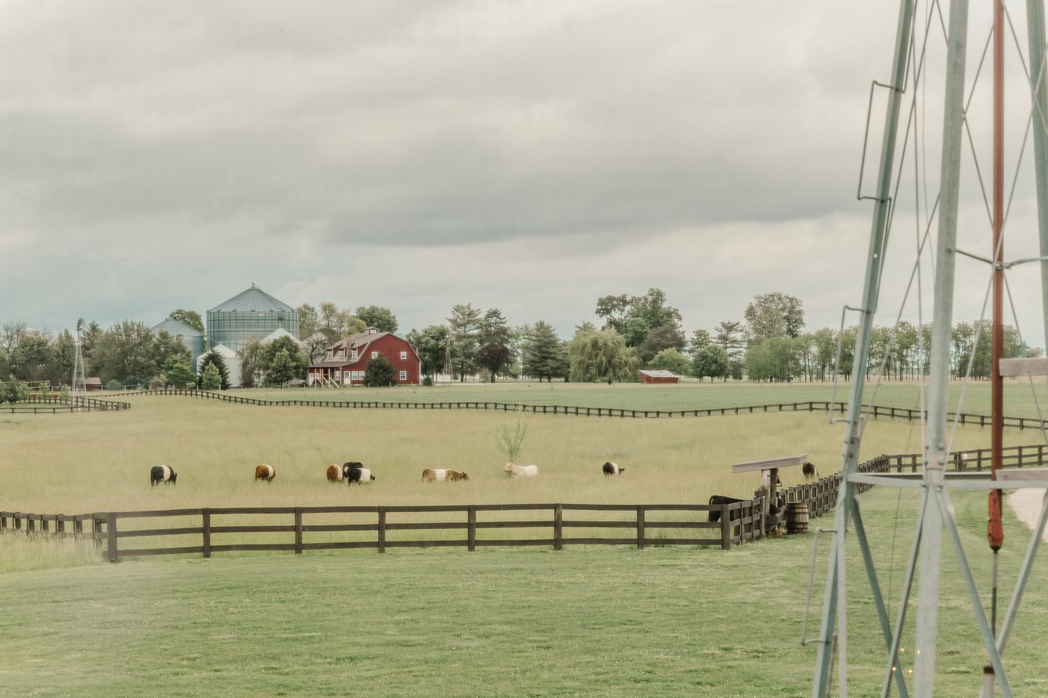 Lush green farm with grazing animals, red barn, and silo under cloudy skies, viewed from beside a windmill.The Old Barns at Dry Run Farms.